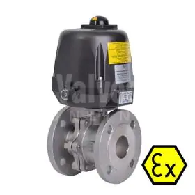 ATEX Valves