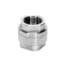 Check Valves for Steam