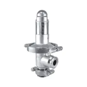 Hygienic Clean Steam Pressure Reducing Valves