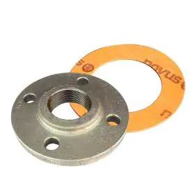 Flanges & Gaskets