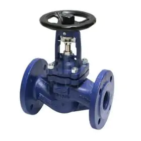 Globe Valves for Steam