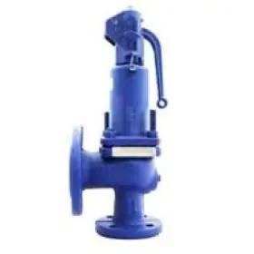 Steam Pressure Relief Valves