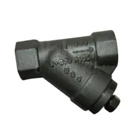 Strainers for Steam