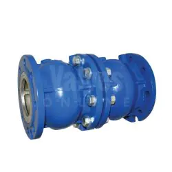 Axial Disc Double Check Valve