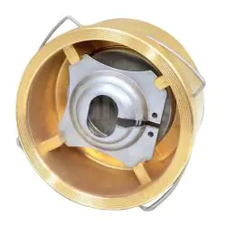 Brass Wafer Pattern Spring Disc Check Valve