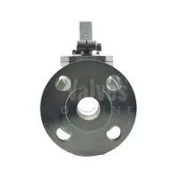 PEKOS Stainless Steel Full Bore Flanged ANSI 300 Ball Valve - 1