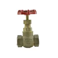 Bronze Globe Valve PN32 Screwed BSPP - 0
