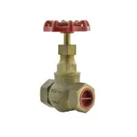 Bronze Globe Valve PN32 Screwed BSPP - 1