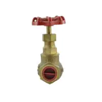 Bronze Globe Valve PN32 Screwed BSPP - 2