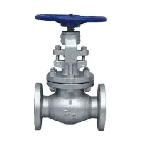 API 600 ANSI Class 300 Cast Steel Globe Valve - 1