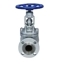 API 600 ANSI Class 300 Cast Steel Globe Valve - 2