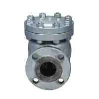 API 600 ANSI Class 300 Cast Steel Swing Check Valve  - 2