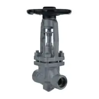 ARI FABA Plus Socket Weld Bellows Sealed Globe Valve - 0
