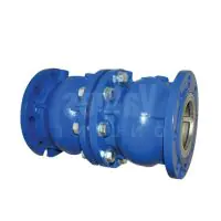 Axial Disc Double Check Valve - 1
