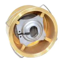 Brass Wafer Spring Check Valve - 1
