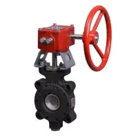 Bray Butterfly Valve Series 40 Double Offset - 2