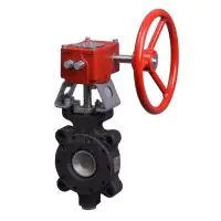 Bray Butterfly Valve Series 41 Lugged PN16 High Temperature - 2