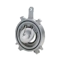 Carbon Steel Swing Spring Check Valve Wafer Pattern - 0