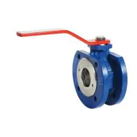 Cast Iron Wafer Pattern Ball Valve - PN16 - 1