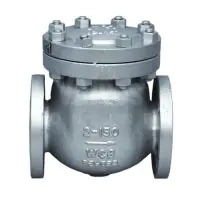 API 600 ANSI Class 300 Cast Steel Swing Check Valve  - 1