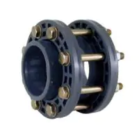 PVC Swing Check Valve with Mounting Kit - 1