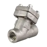 Class 800 Forged Stainless Steel 316L Y Strainer - 0