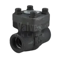 Forged Steel Swing Check Valve Class 800 - 0