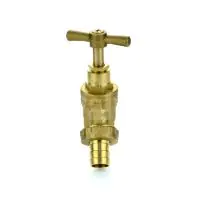 Brass Bibtap with Check Valve - 2
