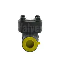 Forged Steel Piston Check Valve Class 800 - 3