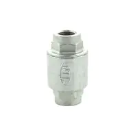 Stainless Steel Spring Check Valve Screwed BSP - 3