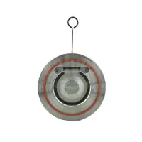 Stainless Steel Swing Check Valve Wafer Pattern - 1