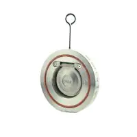 Stainless Steel Swing Check Valve Wafer Pattern - 2