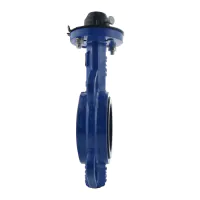 Economy WRAS Approved Wafer Butterfly Valve - 2