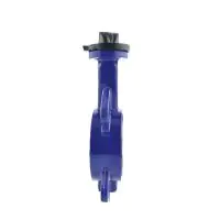 Ductile Iron Wafer Butterfly Valve - PTFE Liner - 1