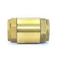 Europa Brass Spring Check Valve Screwed BSP - 2