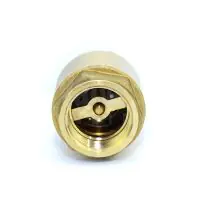 Europa Brass Spring Check Valve Screwed BSP - 1