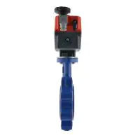 Economy J+J Electric Actuated Lugged Butterfly Valve - 1