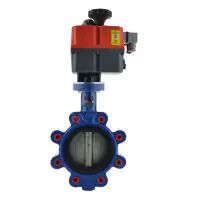 Economy J+J Electric Actuated Lugged Butterfly Valve - 2