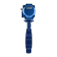 Economy Pneumatic Actuated WRAS Lugged Butterfly Valve - 1