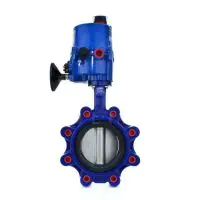Electric Actuated Lugged PN16 Butterfly Valve - FKM Lined - 1
