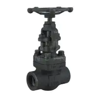Forged Steel Globe Valve Class 800 - 0