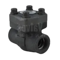 Forged Steel Swing Check Valve Class 800 - 1