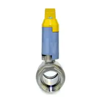 Brass Ball Valve BSI with Neck Extension - 1