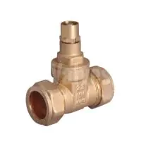 Compression End Brass Gate Valve - 1