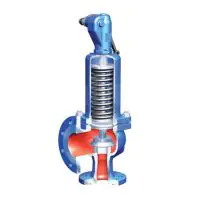PN16 Cast Iron ARI SAFE Safety Relief Valve - 1
