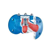 PN40 Stainless Steel ARI CHECKO-V Y Pattern Non-return Check Valve - 3