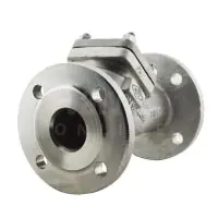 PN40 Stainless Steel ARI CHECKO-V Y Pattern Non-return Check Valve - 0