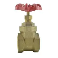 Brass Screwed Gate Valve - NPT - 1