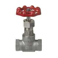 Stainless Steel Gate Valve - 1