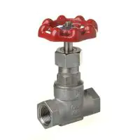 Stainless Steel Gate Valve - 2
